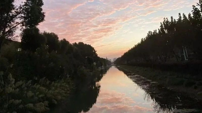 商标无效宣告答辩：关键步骤与注意事项